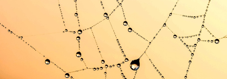 dangers of mixing drugs